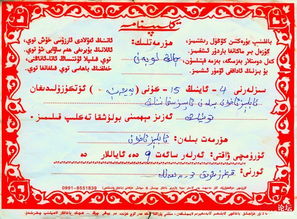 ：维吾尔族风俗习惯的文化人类学考察