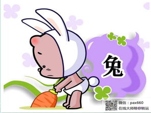 哪些生肖女离婚率最高，哪些生肖女最能管得住老公？