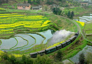 2. 海上田园：杂草丛生的