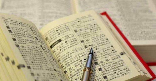 谐音？那又怎样？