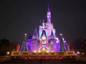 迪士尼童话梦碎现场