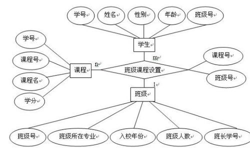 1. 生肖性格模型的层级构造