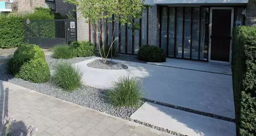 樱花: 春华秋实之典范