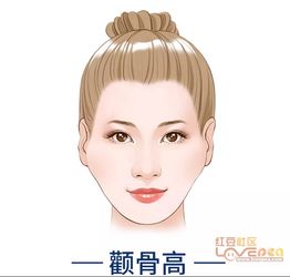 一、  颧骨高耸的面相学释义：性格与权力的具象化投射