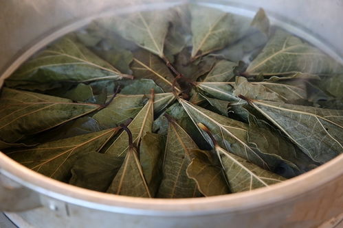 梦见豆角在佛教文化中有什么特殊含义或预兆？