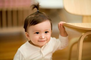 五行命理与生肖运势之协同作用