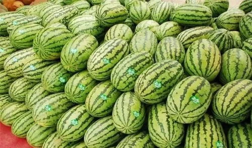 3.2 昂贵的西瓜与廉价的汗水