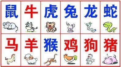 防微杜渐代表哪个生肖？防对冲指的是哪个生肖？