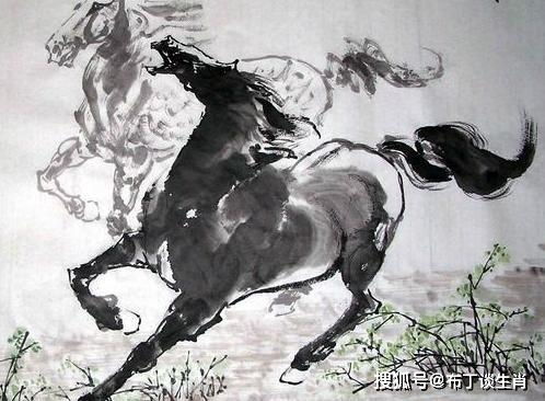 属马26年财运如何，家中摆放何物最能招财？