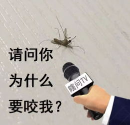 (1) 蚊虫与属相——蛇酉对应论