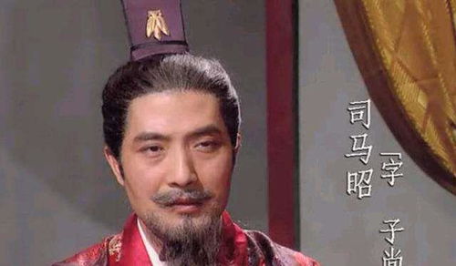 司马师的历史持续发展地位与政治领域才能概论