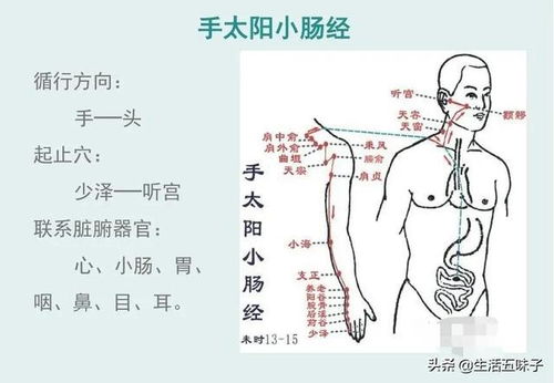 （二） 横水局与聚水局：环绕与蓄积的艺术
