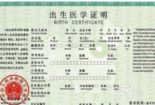 自学八字算命对零基础的人可行吗？哪里有适合初学者的八字算命学习资源？