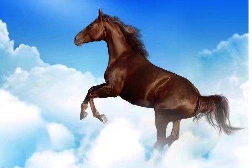 2022年属马的运势和2023年属马完整运势分别是什么？