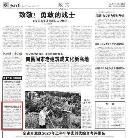 四、 社会文化反思：从民俗到公共治理的多维视角