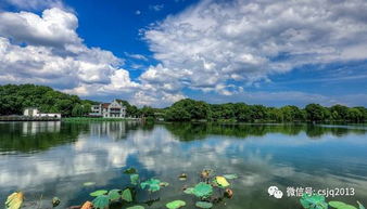 第二天：龙井茶园+宋城古装秀（从清晨到深夜）