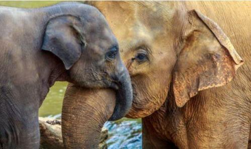 1. 现代视角下的命名困境与机遇