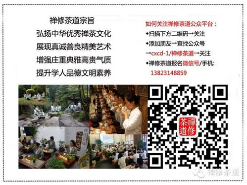 二、  感悟分享的社会周边环境化传播：从个体经验到集体共情的升华