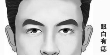 一、鼻部特征与情感倾向