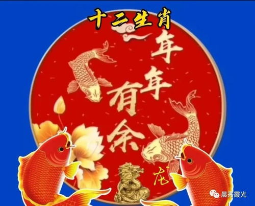 兔（卯）