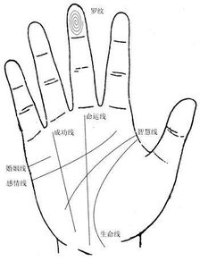 星座对应的典型 hand 型特征