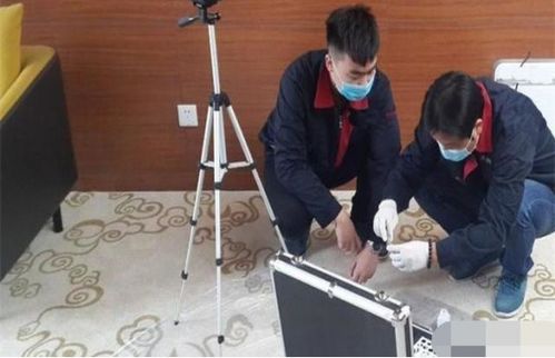 序言：关于