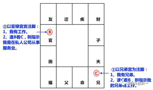 四、 命迁子田概念的系统阐释
