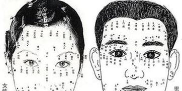 关于生人见面看相绝技一百招的学术探析