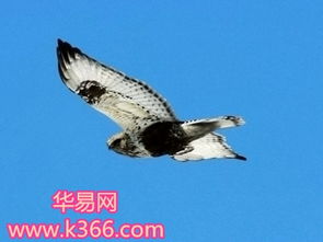 一、基本寓意之阐释