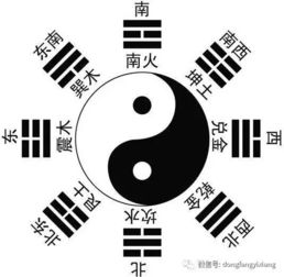五行相生：金水交融的智慧与力量