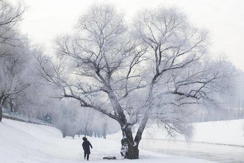 摄影爱好者的天堂