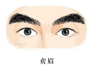 ：面相学视域下的眉毛形态学意义