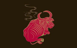 1980年木猴命发展方向具体指什么？