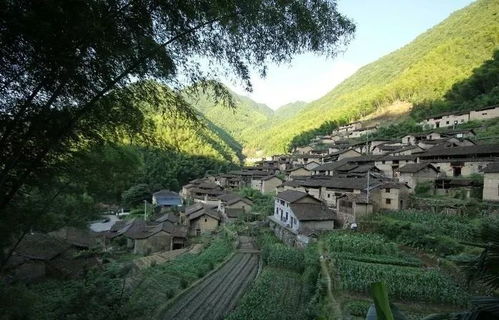 #古村落名称随机生成