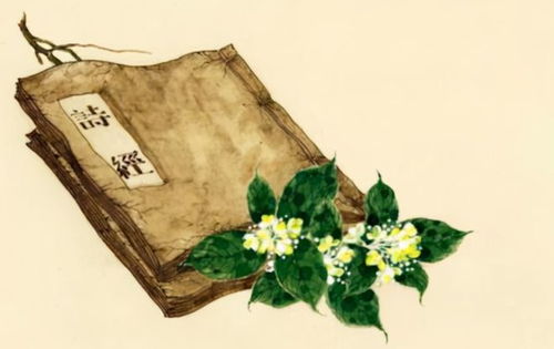 2、 诗经女孩子名字文雅有寓意起名思路