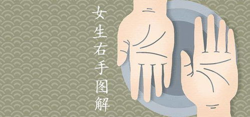 一、 生理因素：内分泌与毛发生长的科学解读