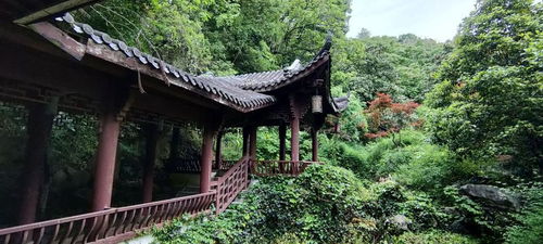 住宿惊现灵异事件