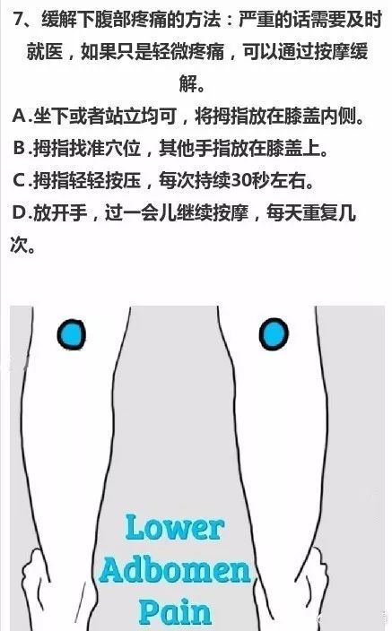 属龙
