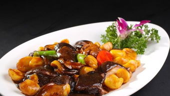 ：饮食文化与国学智慧的交融