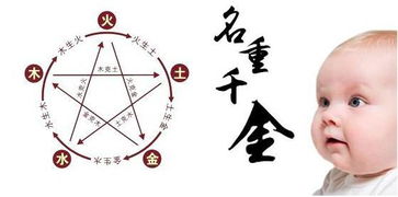 实证案例与经验观察