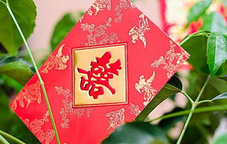 哪个生肖与将喜从天降相匹配？喜打一生肖的最佳答案是什么？