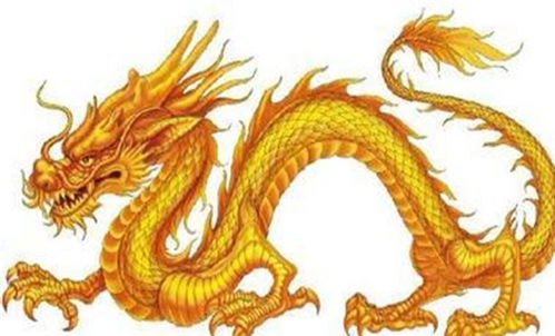 2026年属龙的最佳怀孕月份是什么，以确保能生下龙宝宝？