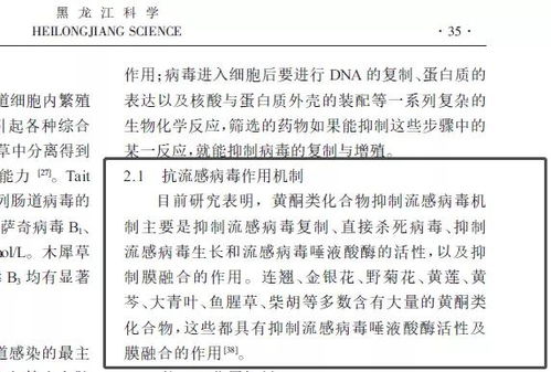 2．4 风格化艺术创作引用模式