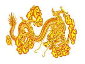 属龙人适合吃什么食物来增强桃花运？