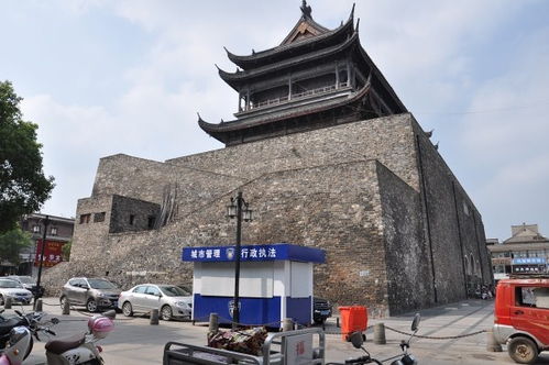 交通：一场充满“惊喜”的冒险