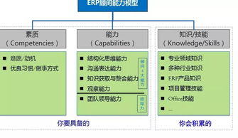 文献回顾与理论框架
