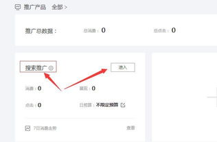 四、案例分析：从“糊涂”到“神奇”，改名之路跌宕起伏！