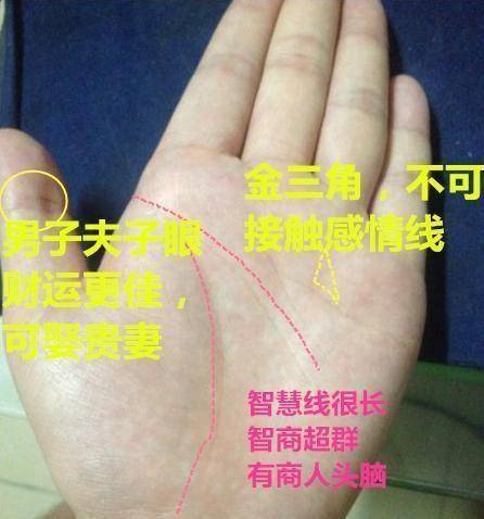 手部形态学与婚姻运势的分类解析