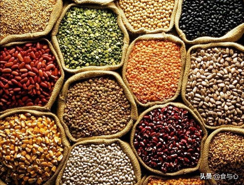 富含矿物质与维生素