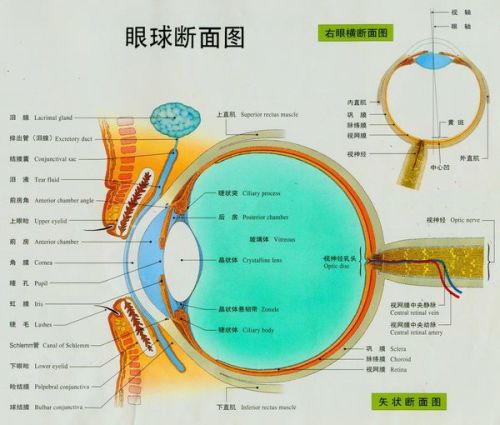 二、把五行玩较差——金木水火土全套都有！